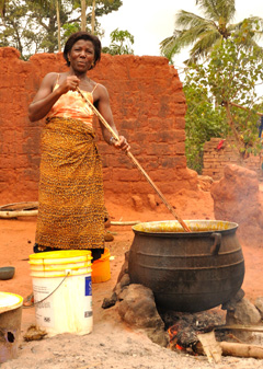 Palm oil production in Davedi