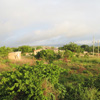 The view from the balcony of the Sunbird Lodge in Accra