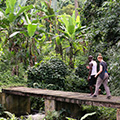 The Tagbo Falls Lodge in Liati Wote, Afadjato valley, Volta Region, Ghana