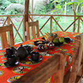 The Tagbo Falls Lodge in Liati Wote, Afadjato valley, Volta Region, Ghana