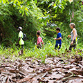 Enjoy a walk through the fields around Liati Wote, Volta Region, Ghana.