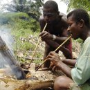 Palm wine production