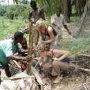 Palm wine production