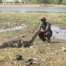 Paga crocodile pond