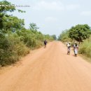 Road from Aveyime to Volta River bank