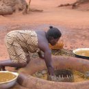 Local palm oil production